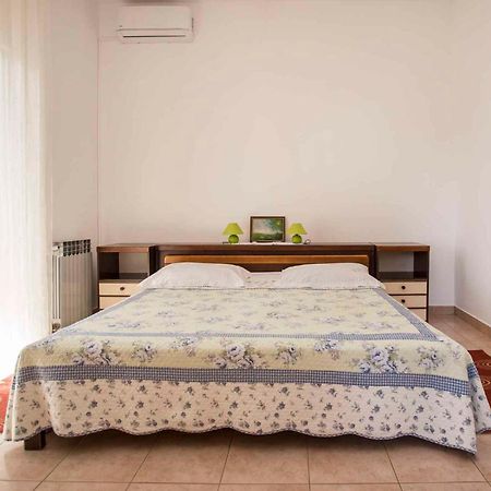 Apartments In Rovinj/Istrien 11528 Dış mekan fotoğraf