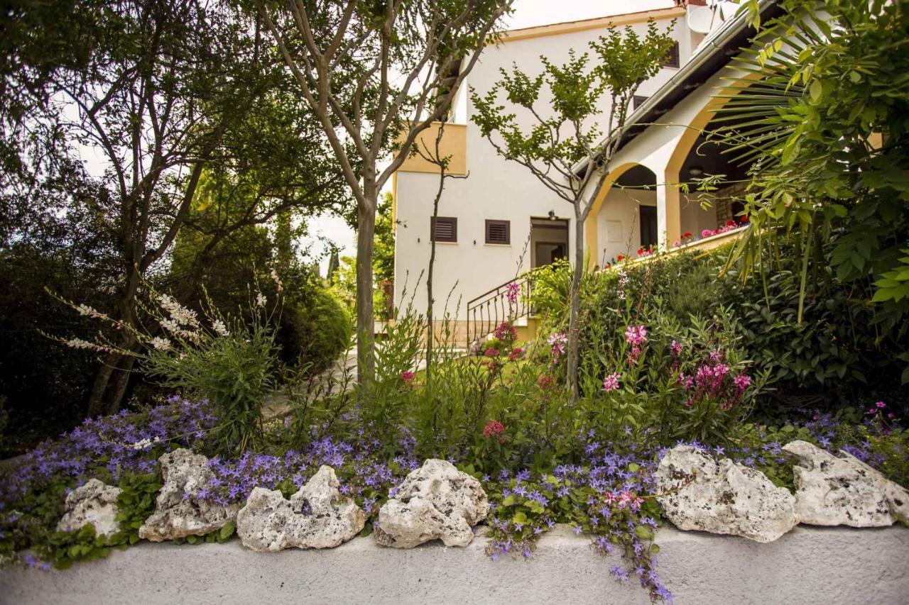 Apartments In Rovinj/Istrien 11528 Dış mekan fotoğraf